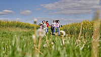 Kinder toben auf einer Wiese
