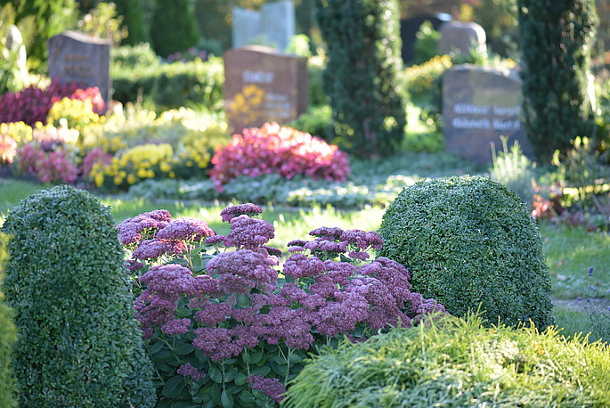 Blumen, Büsche und Sträucher auf einem Friedhof