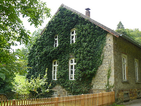 Straßenansicht Efeubewachsene Fassade des ehemaligen Forsthauses der Unterförsterei Hirschberg am Forstweg 40 in Berlebeck (Denkmal A729)