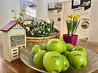Zusammenstellung einiger Details zur aktuellen Ausstellung „Gönn‘ Dir Garten“