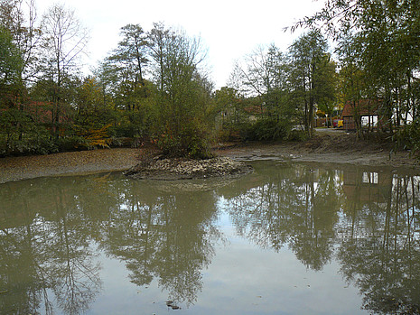 Brokhauser Teich