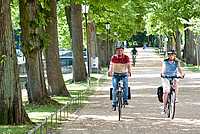 Ein Mann und eine Frau fahren nebeneinander durch eine Allee