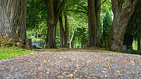 Bodenaufnahme eines Weges auf einem Detmolder Friedhof