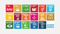 Icons zur globalen Nachhaltigkeitsstrategie