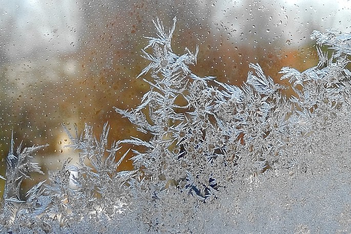 Eisblumen Eisblumen in einfach-verglastem Fenster