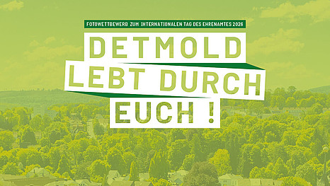 Luftaufnahme über Detmold mit einem hellgrünen Overlay und den Worten "Detmold lebt durch euch!" und "Fotowettbewerb zum internationalen Tag des Ehrenamtes 2026" darauf 