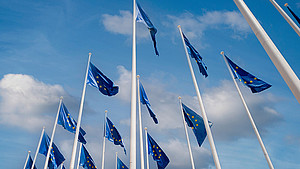 Mehrere europäische Flaggen an mehreren Masten Richtung Himmel fotografiert