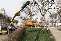 Rainer Helms vom Landschaftspflegeverein „Mittleres Elstertal“ und Transportunternehmer Frank Thomas bringen die „Glasarche 3“ auf dem Detmolder Kaiser-Wilhelm-Platz in Position.