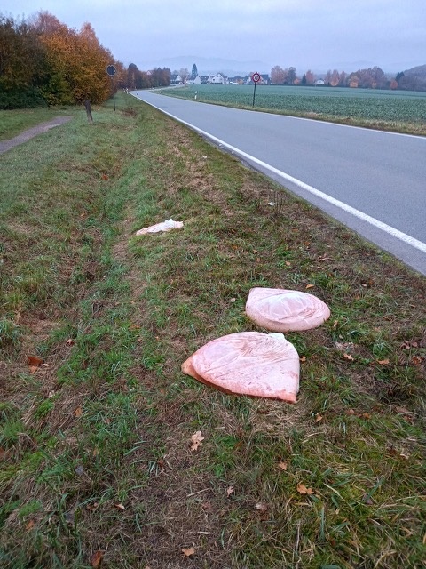 Illegal entsorgte Plastikbeutel mit Essensresten im Bereich der Blomberger Straße