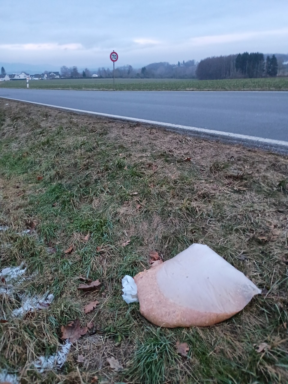 Illegal entsorgte Plastikbeutel mit Essensresten im Bereich der Blomberger Straße