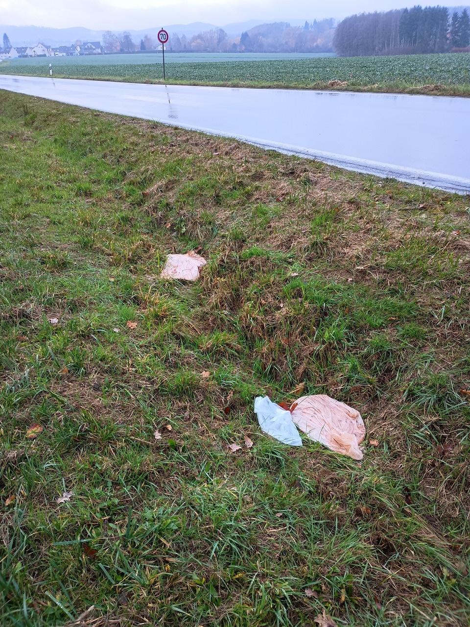 Illegal entsorgte Plastikbeutel mit Essensresten im Bereich der Blomberger Straße