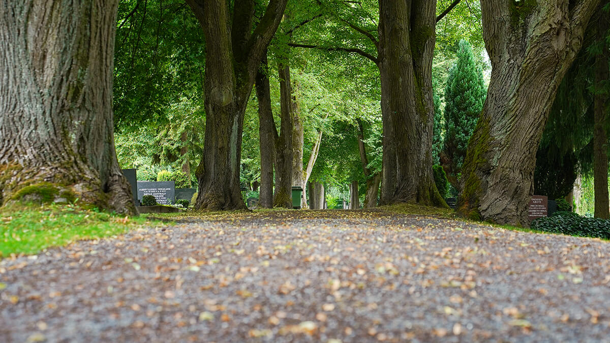 Bodenaufnahme eines Weges auf einem Detmolder Friedhof