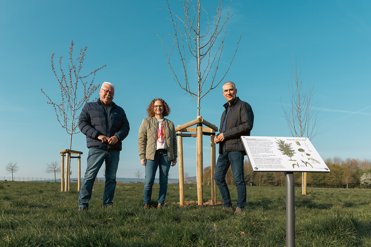 Ortsbürgermeister Erhard Friesenhan, Landschaftsarchtiektin Inga Müller (Stadt Detmold) und Beigeordneter Thorsten Paulussen (Stadt Detmold) freuen sich über drei neue Zitterpappeln auf dem Gelände des Detmolder Baumlehrpfades.